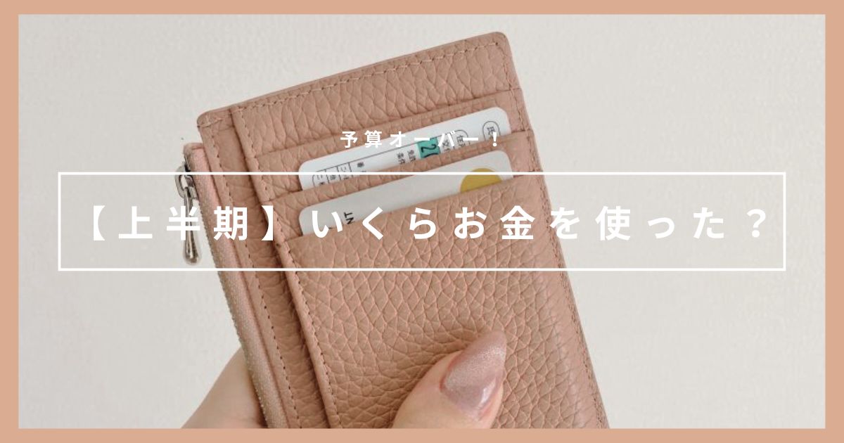【上半期】2人暮らしミニマリストは1年でいくらお金を使う？1月～7月の支出記録