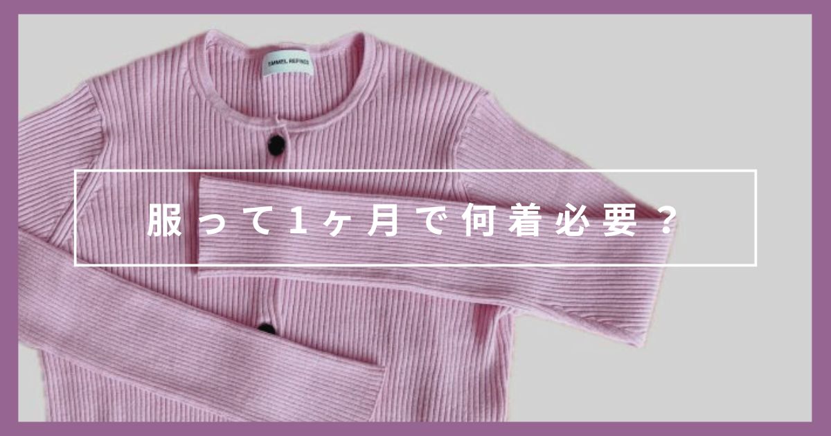 【2025年9月】服って1ヶ月で何枚必要？ミニマリストの着用回数ランキング
